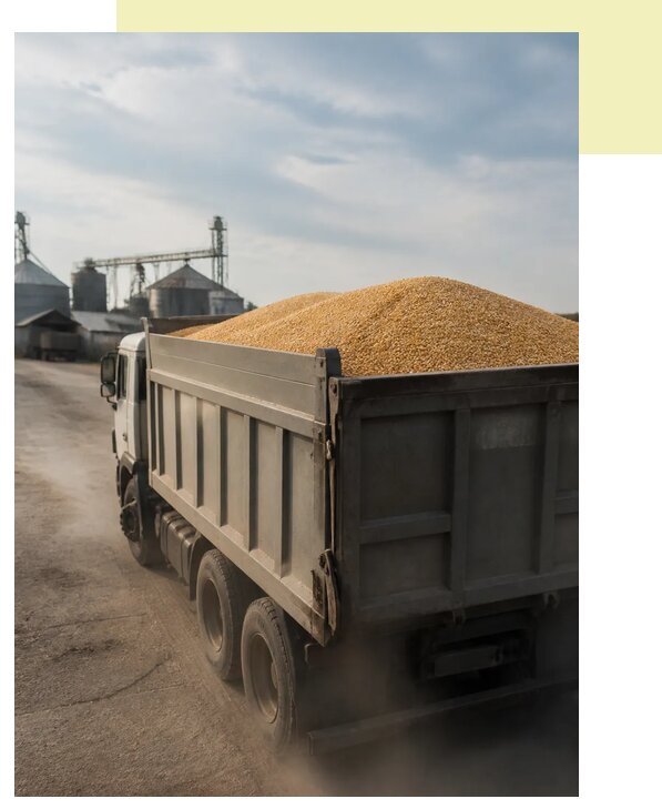 Перевозка сельхозпродукции навалом в Холмск по цене от 3081 р. | Агросервис-Хлм